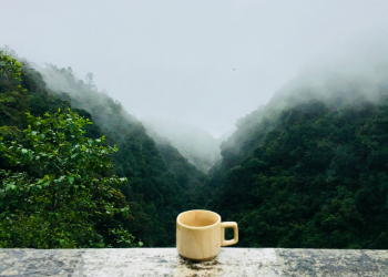 How Word Games Help Professionals Beat Brain Fog Fast