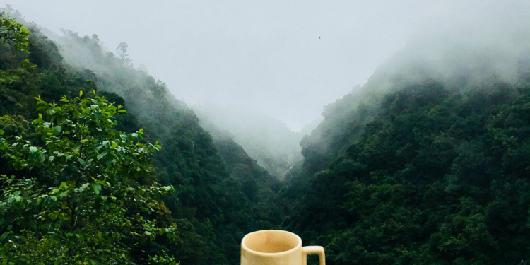 How Word Games Help Professionals Beat Brain Fog Fast